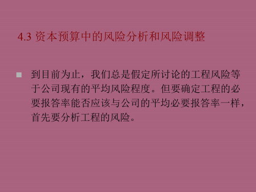 【大学】资本预算中的风险分析和风险调整ppt课件