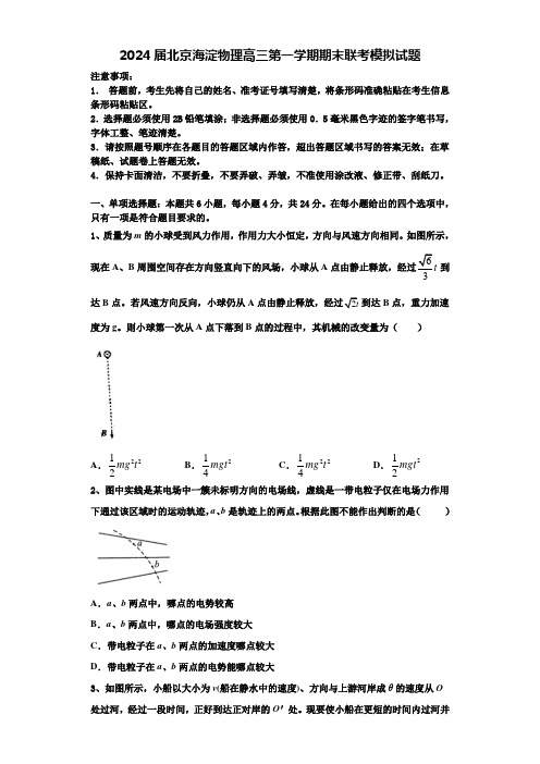 2024届北京海淀物理高三第一学期期末联考模拟试题含解析