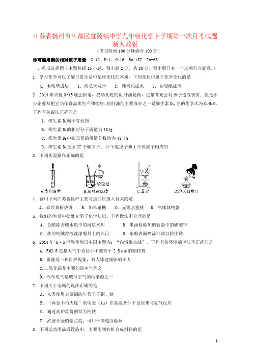 江苏省扬州市江都区宜陵镇中学九年级化学下学期第一次月考试题 新人教版