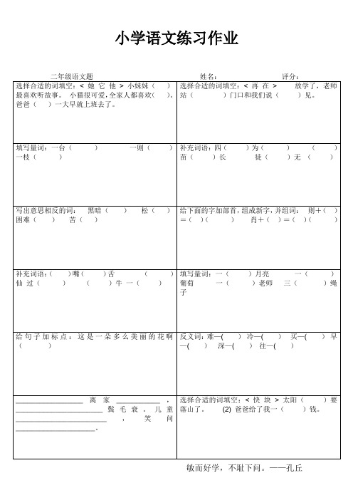 二年级语文家庭作业 (32)