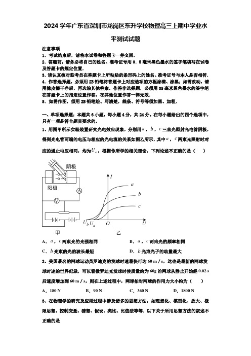 2024学年广东省深圳市龙岗区东升学校物理高三上期中学业水平测试试题含解析