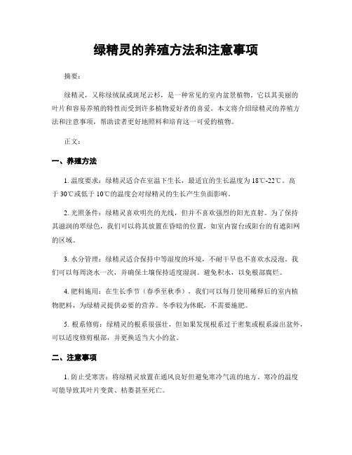 绿精灵的养殖方法和注意事项