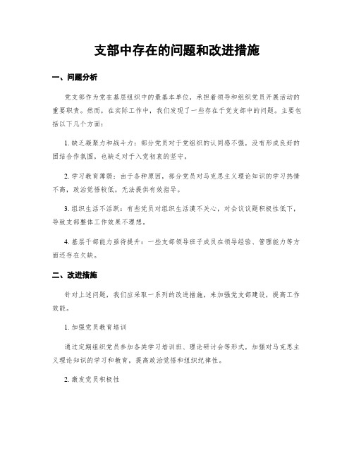 支部中存在的问题和改进措施