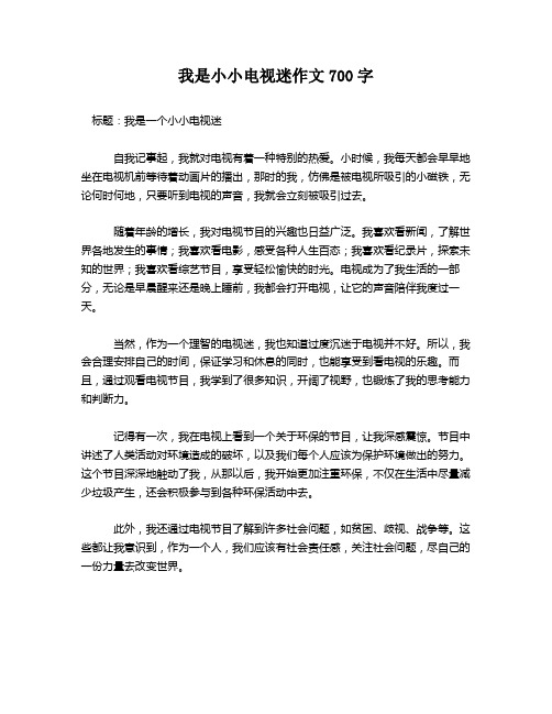 我是小小电视迷作文700字