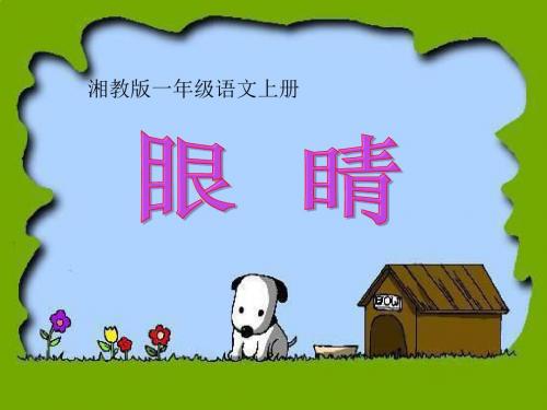 湘教版语文一上《眼睛》ppt课件1
