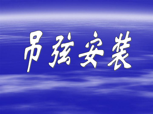 吊弦安装及检修.