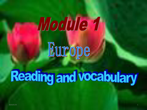 高一英语外研版必修3 module 1 europe reading 课件(共24张ppt)