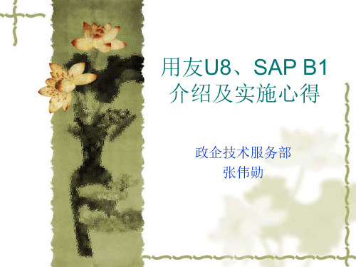 用友U8v11、SAPB1介绍对比及实施心得