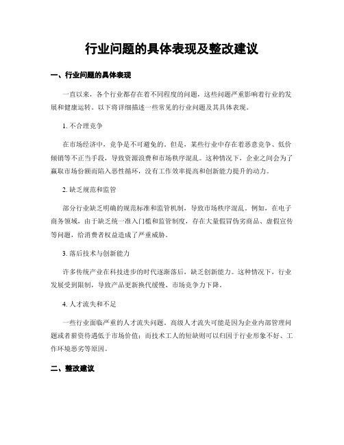 行业问题的具体表现及整改建议