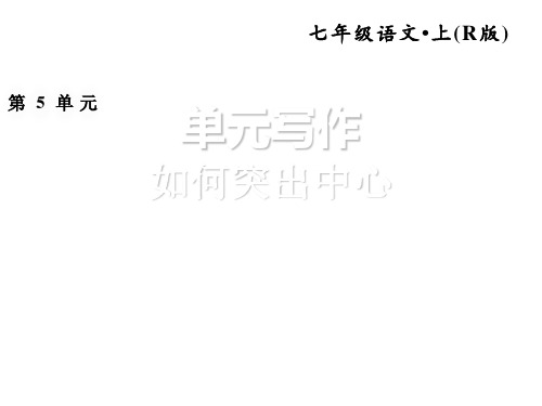 人教部编版七年级语文上册习题课件：5.习作 (共16张PPT)