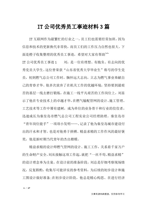 IT公司优秀员工事迹材料3篇_作文素材