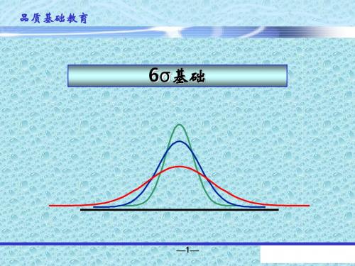 6σ基础培训