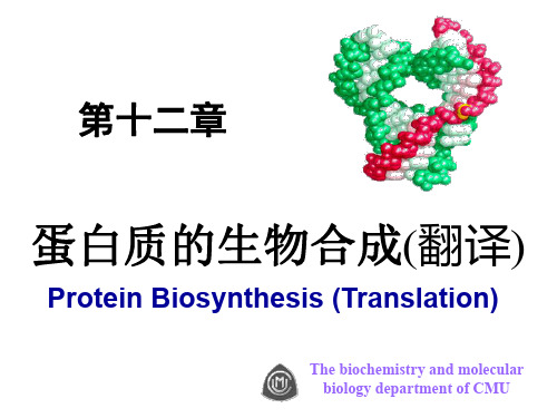 生物化学(简单清晰)第12章 翻译