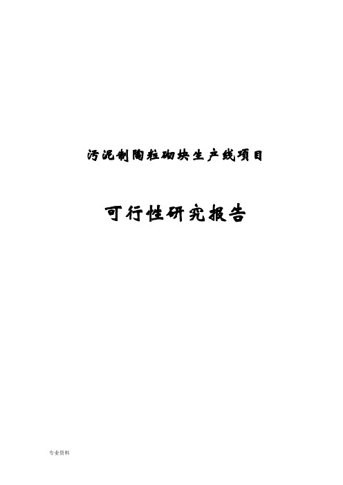 污泥制陶粒砌块生产线项目可行性研究报告