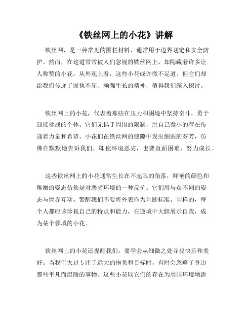 《铁丝网上的小花》讲解