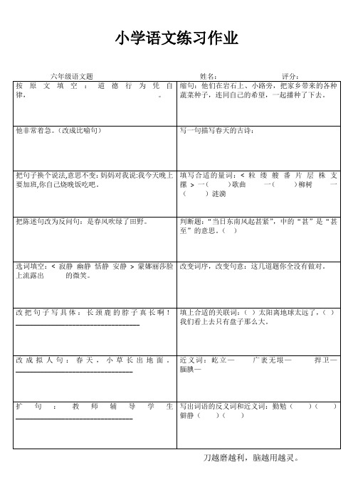 小学语文精作细练习题I (36)