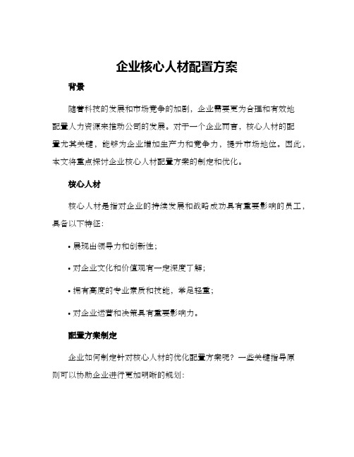 企业核心人材配置方案