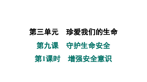 2024年秋道德与法治七年级上册 第九课 守护生命安全 第1课时 增强安全意识 复习训练(课件)