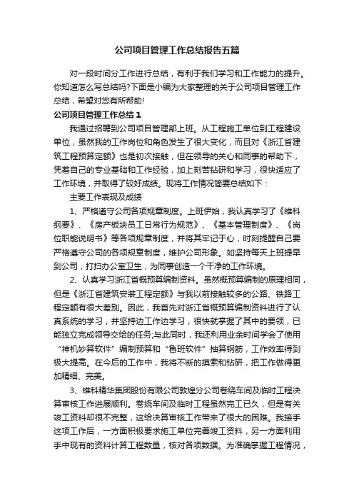 公司项目管理工作总结报告五篇