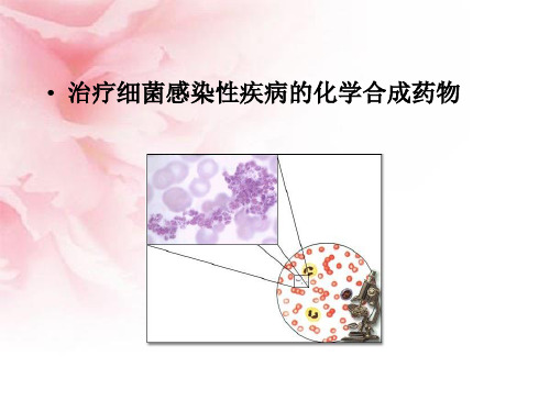 磺胺类药物分析