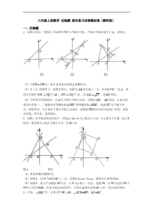 八年级上册数学 压轴题 期末复习试卷测试卷(解析版)