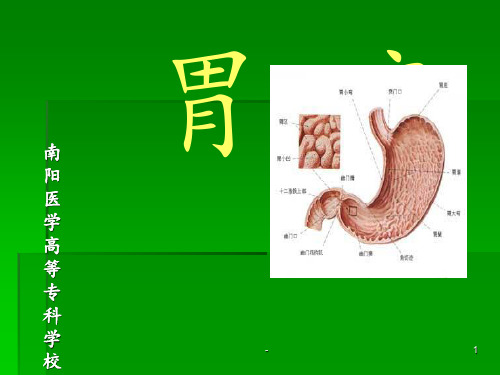 中医内科学课件第三章.胃痛PPT课件