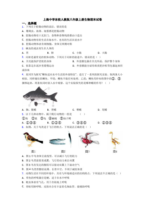 上海中学东校人教版八年级上册生物期末试卷