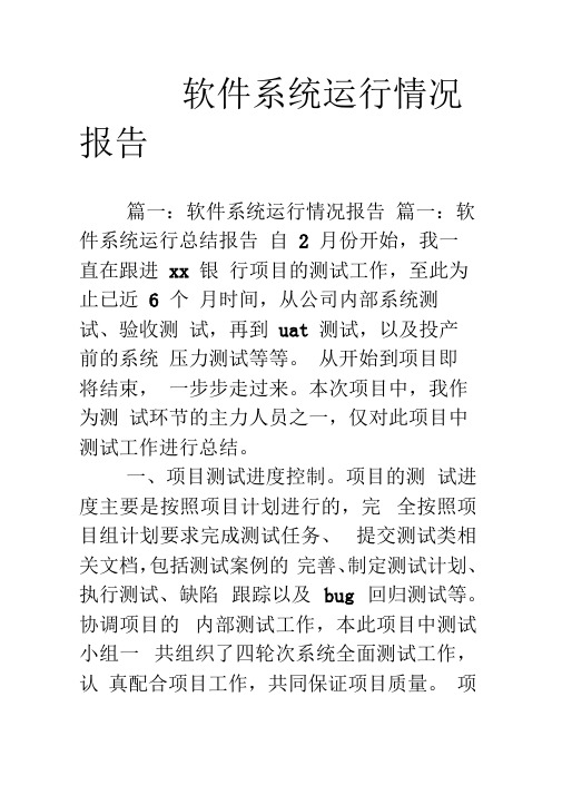 软件系统运行情况报告