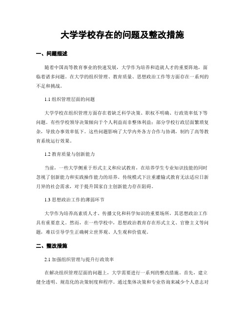 大学学校存在的问题及整改措施