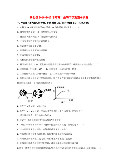 湖北省2016-2017学年高一生物下学期期中试卷(含解析)