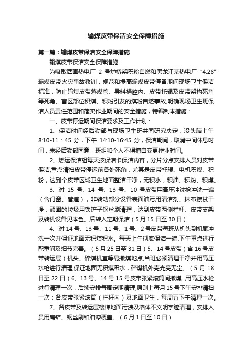 输煤皮带保洁安全保障措施