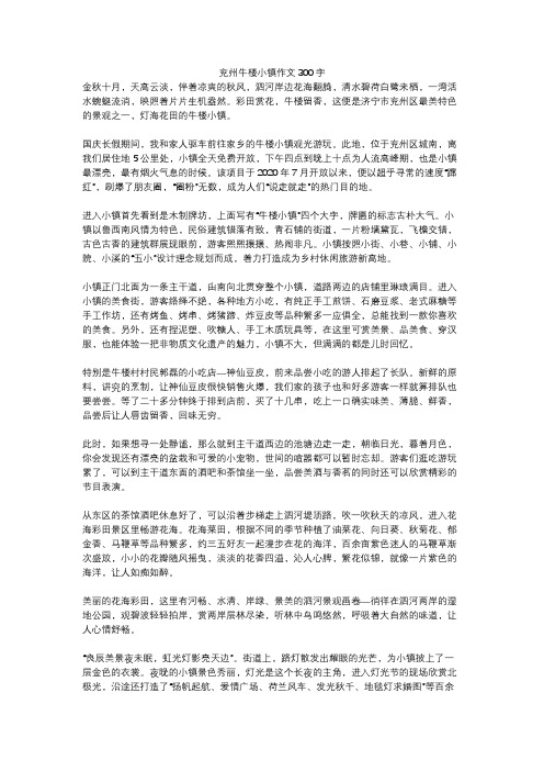 兖州牛楼小镇作文300字