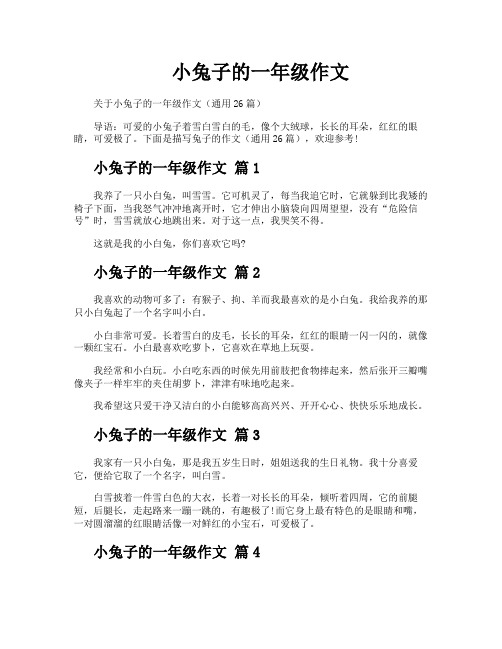 小兔子的一年级作文