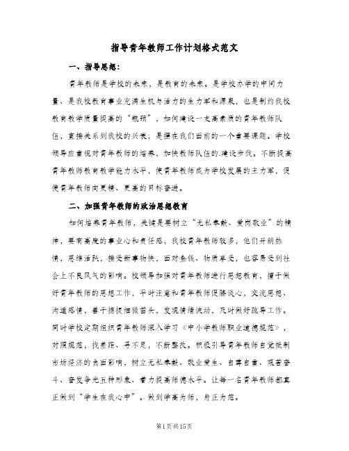 指导青年教师工作计划格式范文(5篇)