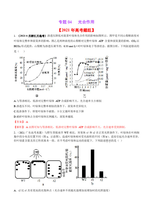 2020-2021年高考生物真题分项版汇编 专题04 光合作用(教师版含解析)