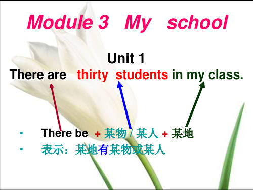 外研版七年级英语上册Module 3 Unit 1 There are thirty students in my class.