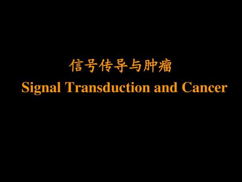 信号传导