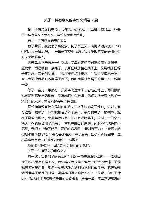 关于一件有意义的事作文精选5篇