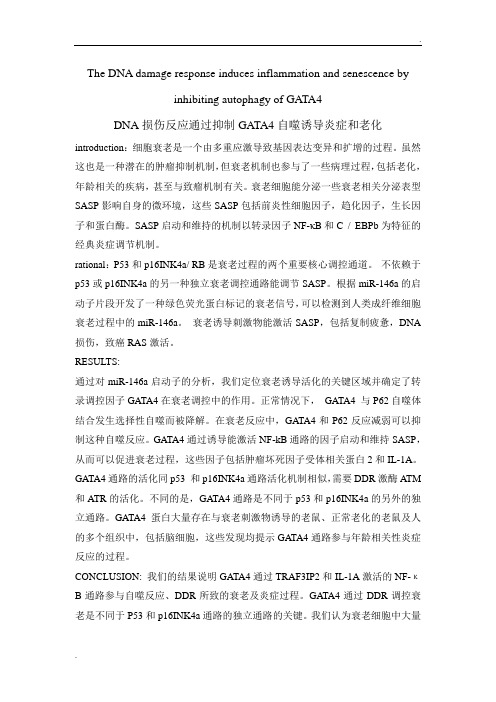 DNA损伤反应诱导炎症和衰老通过抑制GATA4自噬