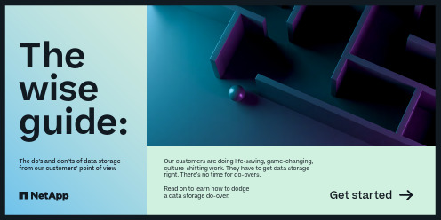NetApp 数据存储指南说明书