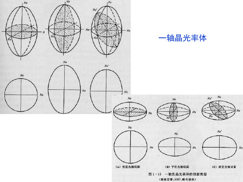 晶体光学  一轴晶干涉图