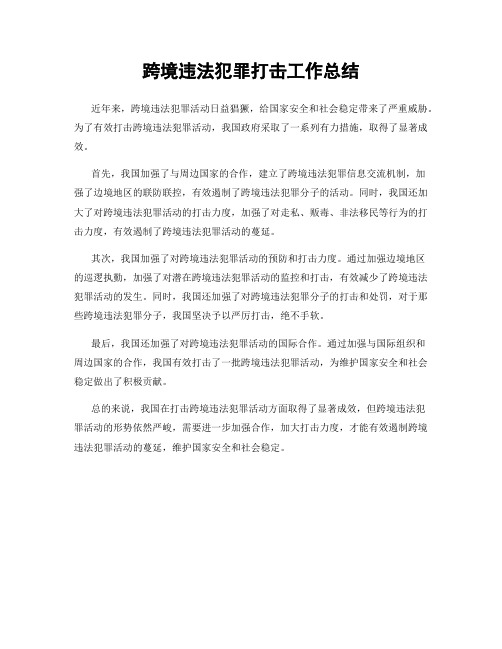 跨境违法犯罪打击工作总结