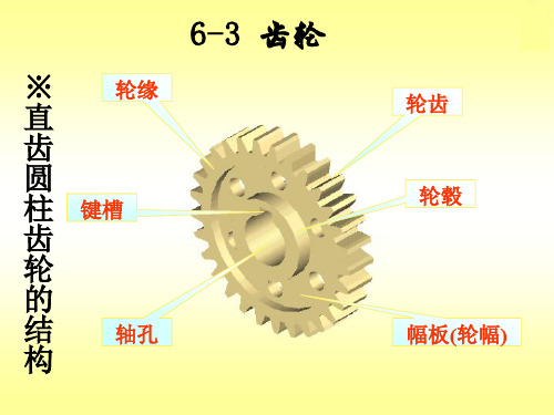 机械制图--齿轮的画法