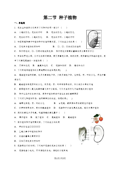 人教版七年级上册生物 3.1.2 种子植物 同步练习