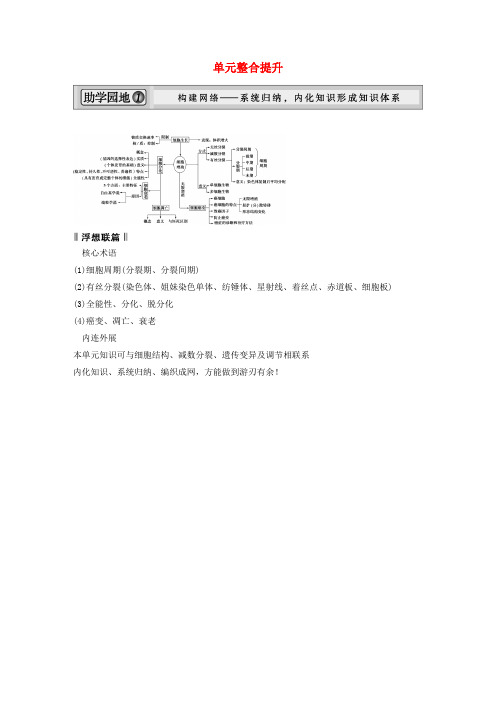 高考生物一轮 第四单元 细胞的生命历程 新人教版必修1