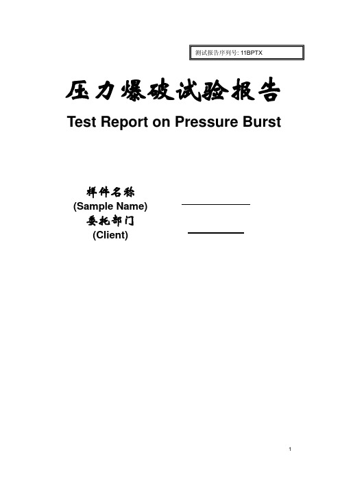 压力爆破实验报告