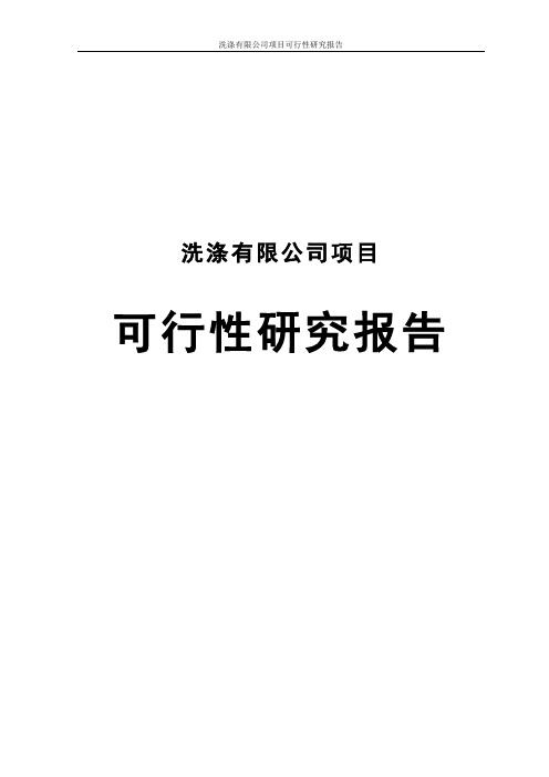 洗涤有限公司项目可行性研究报告