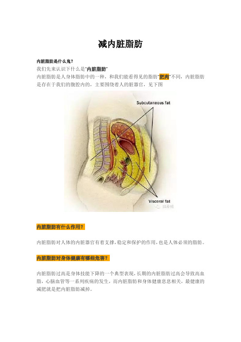 减内脏脂肪