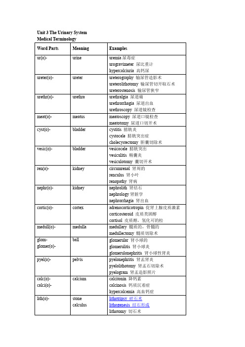 医学英语大三册下Unit 3 The Urinary System