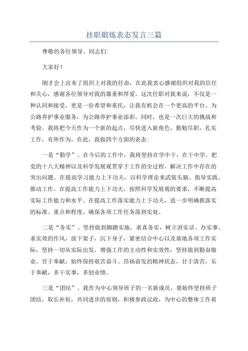 挂职锻炼表态发言三篇